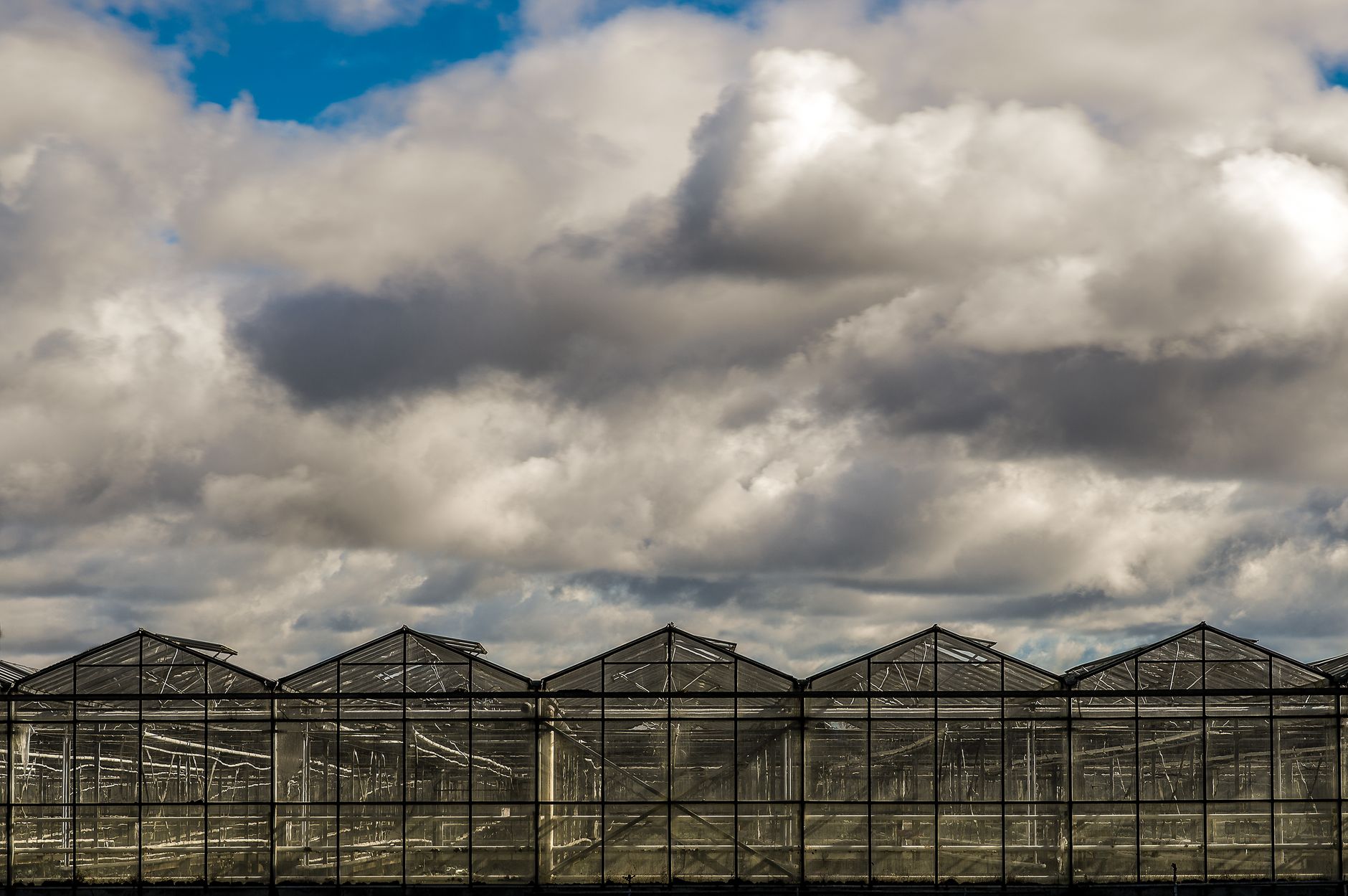 moody sky above greenhouse
